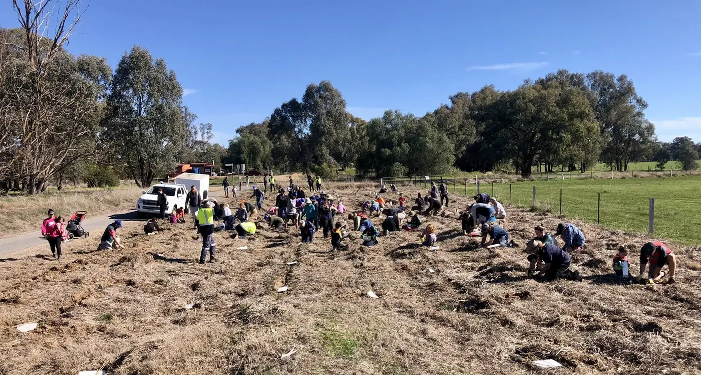 Council tree planting events prove popular