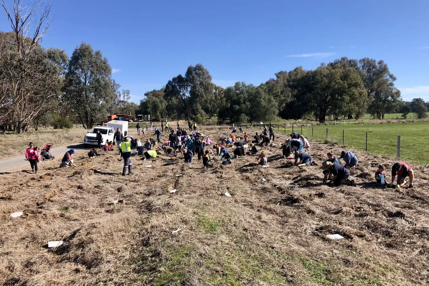 GREEN THUMBS UNITE: Volunteers hard at work at Tarrawingee Station planting trees as part of the rural city\\'s Tree Planting Program.