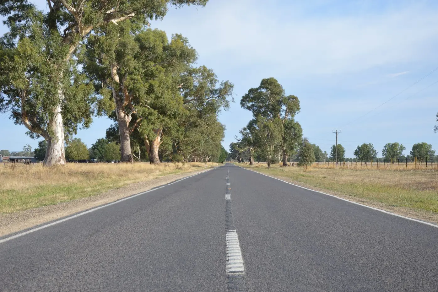 NARROW STRETCH: The lack of bitumen shoulders on the Wangaratta-Whitfield Road has long been a hazard for motorists, especially with the high prevalence of wildlife in the area and large gum trees close to the road.