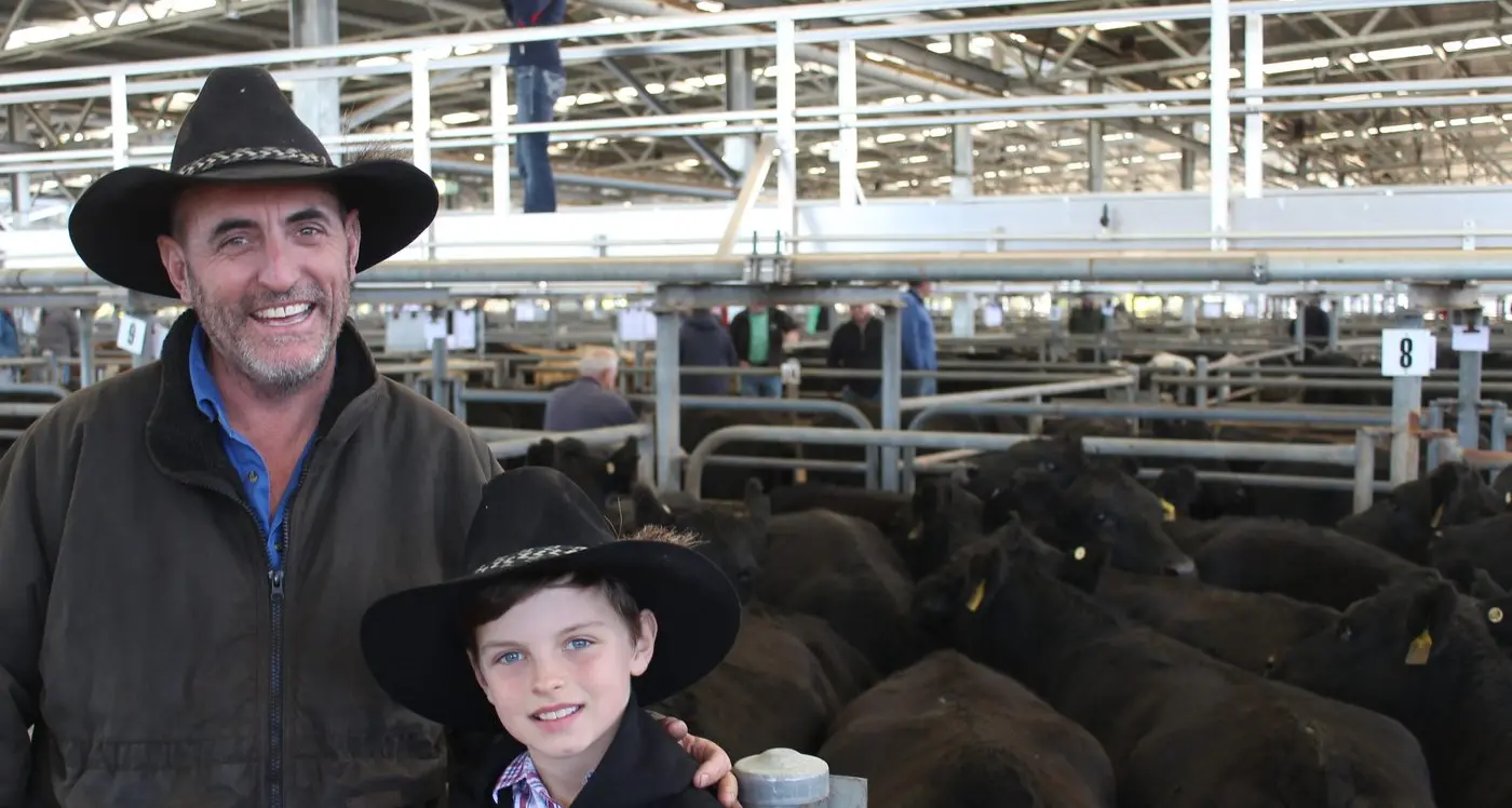 Beef producers buoyed by prices and numbers