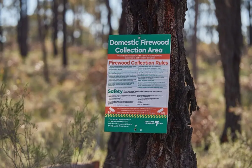 AUTUMN FIREWOOD SEASON: Designated state forest firewood collection areas opened on Saturday.
