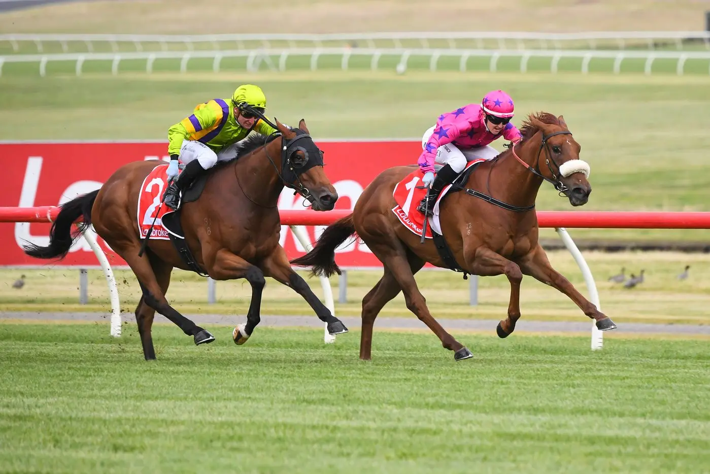 IN THE MONEY: Ben Brisbourne\\'s Suparazi (pink) stormed home to claim third in the $3 million Big Dance at Royal Randiwck on Tuesday. PHOTO: Racing Photos
