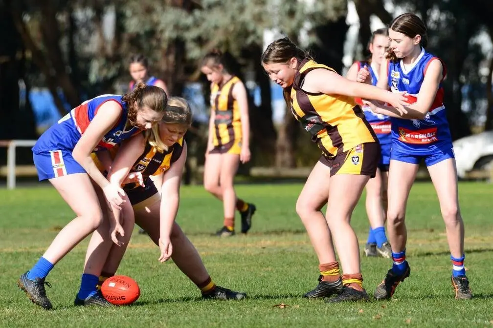 GOT YOU COVERED: Jas Fordham protects her under 14s team\\u2013mate Trinity Hassgall. Id:26601