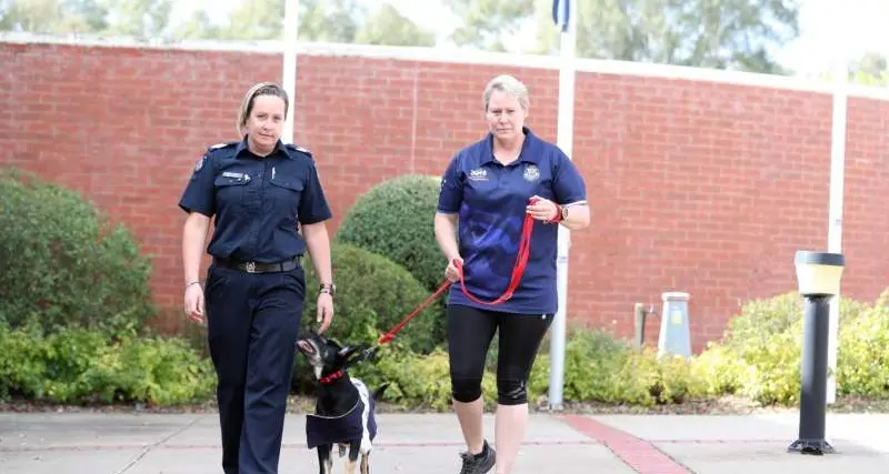 A special run for Blue this month