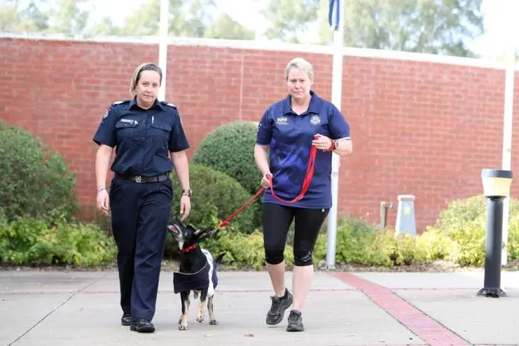 EXCITED PUP: Acting Sergeant Kym Clark and Sergeant Colleen Sheridan ready with her running buddy Millie. PHOTO: Kieren Tilly 