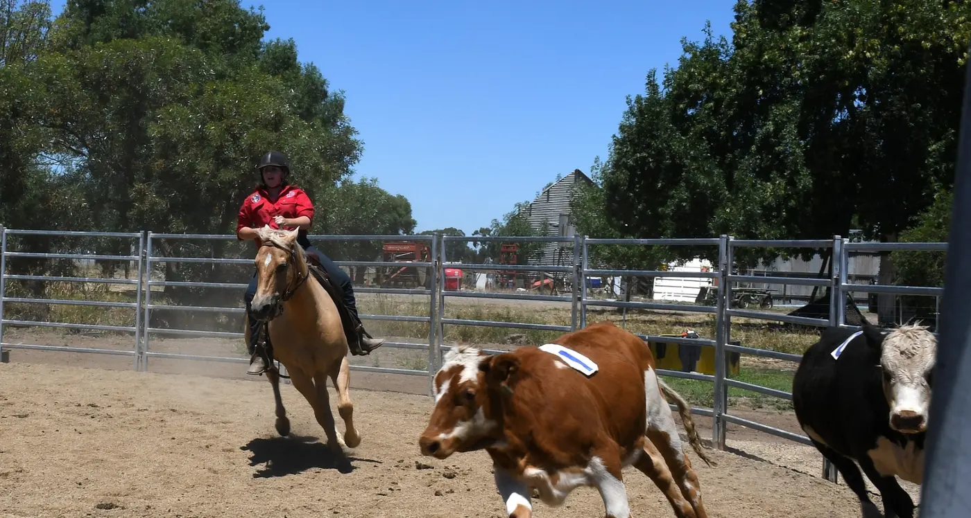 Seymour expo has something for everybody