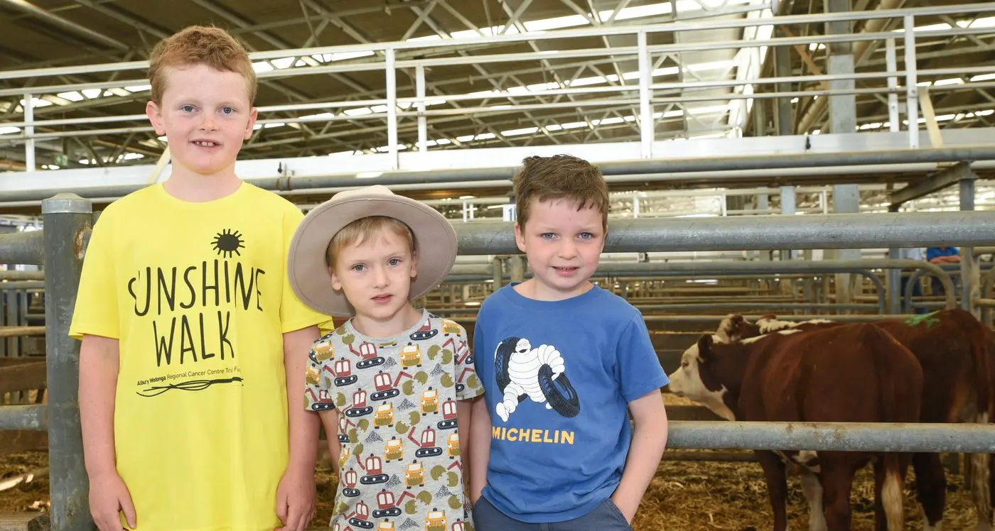 Steady sale shows promise for feature sales