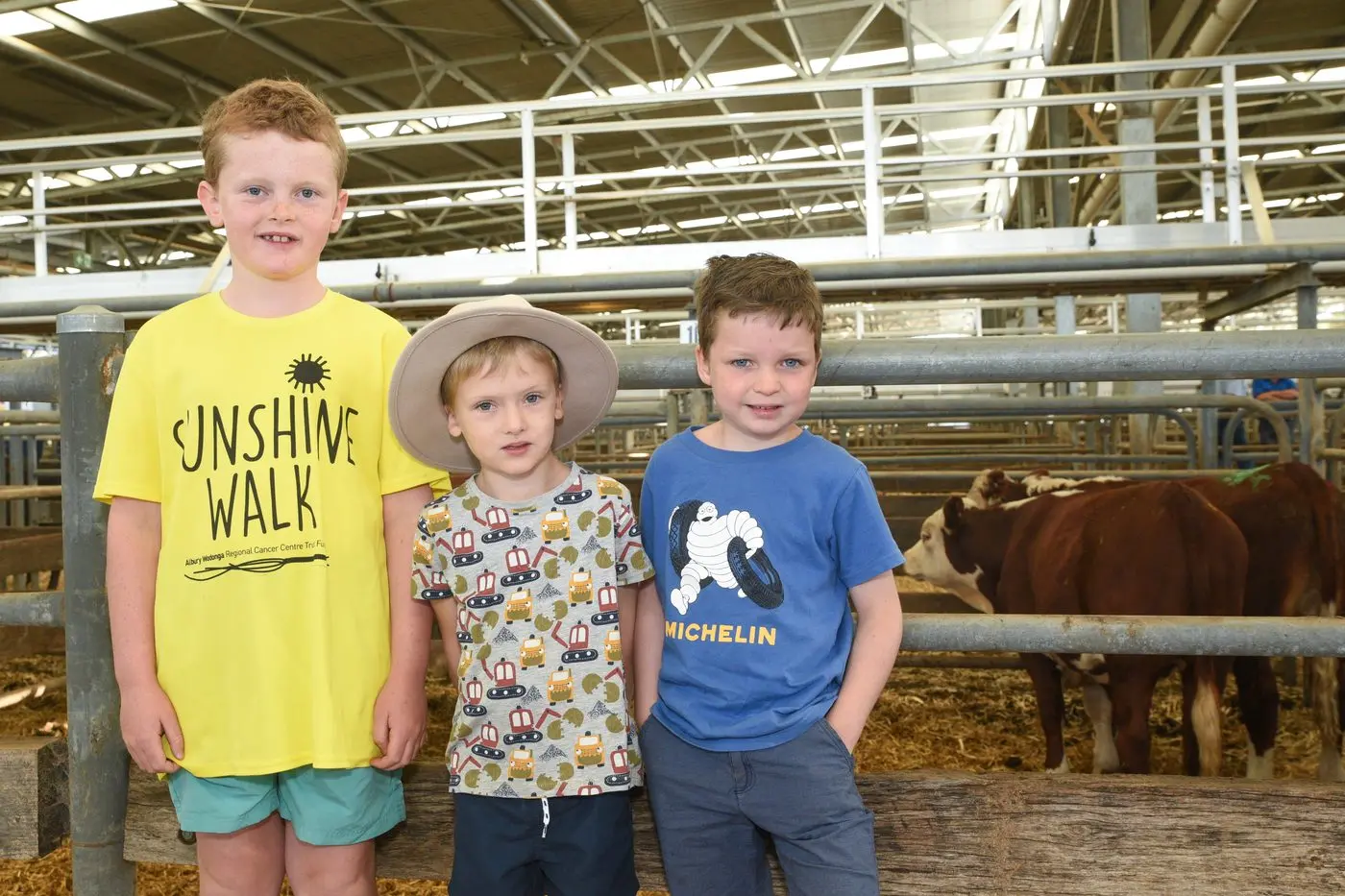 GATHER AROUND: Edward Routledge, Jack Routledge and Harry McMahon took a keen interest in the cattle at the store sale on Friday morning at the Wangaratta Livestock Exchange. PHOTO: Kurt Hickling  Id:36293