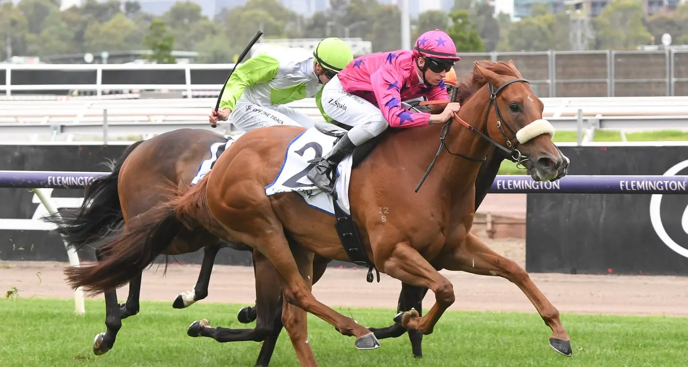 Two local gallopers to run on big stage