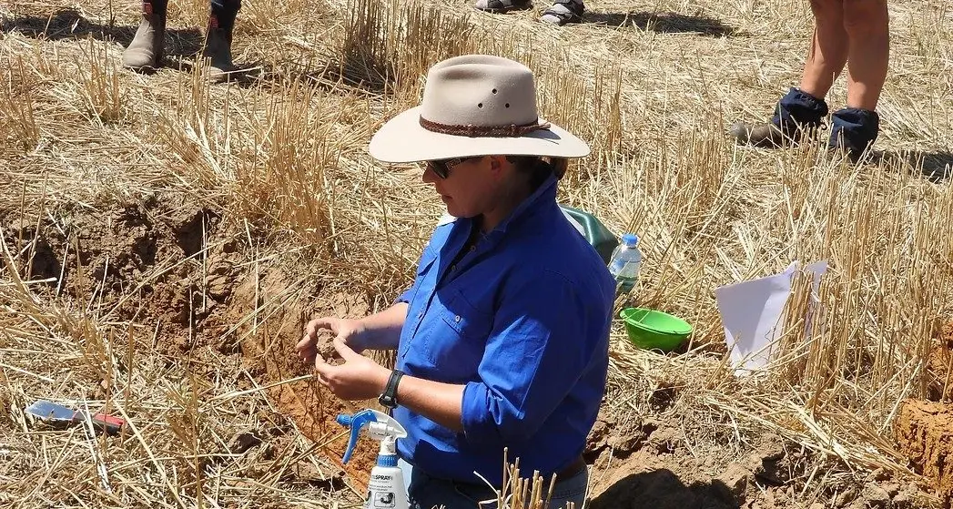 Practical soil health solutions for beef and sheep operations