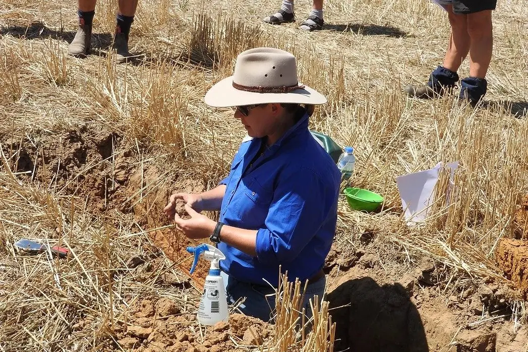 Practical soil health solutions for beef and sheep operations