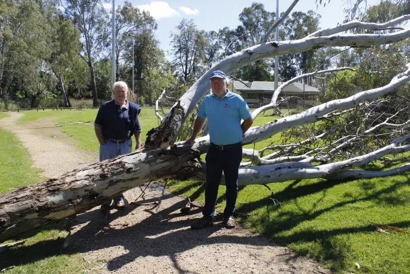 ON CUE: Pat Heffernan and Geoff Allen hold grave concerns for the safety of park visitors if another tree falls at the wrong time. PHOTO: Steve Kelly