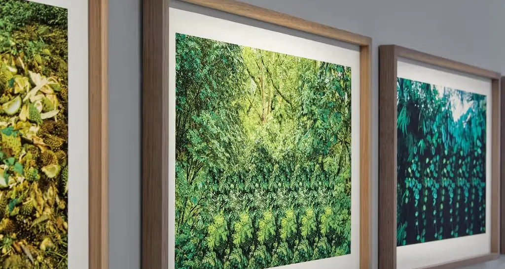 Collection exhibition of photographic art opens at MAMA