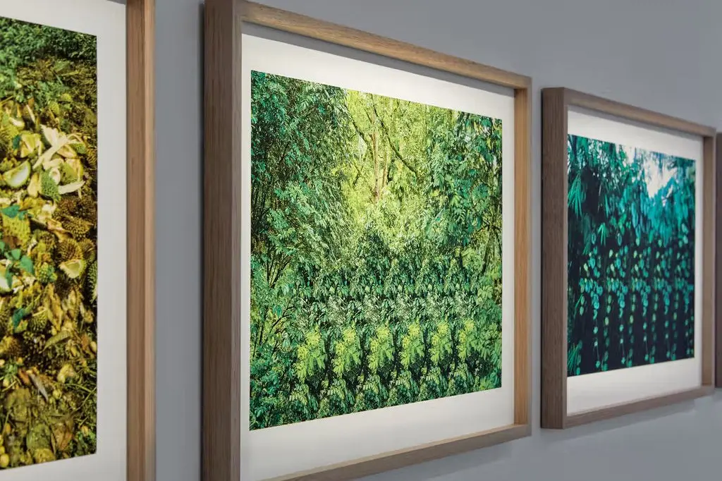 TRANSFORMATIVE WORKS: The exhibition includes the artwork of Tiyan Baker, National Photography Prize, 2022, Installation View, Photo: Jeremy Weihrauch