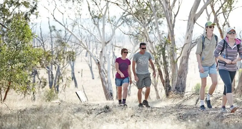 Easy guide to explore our tracks and trails