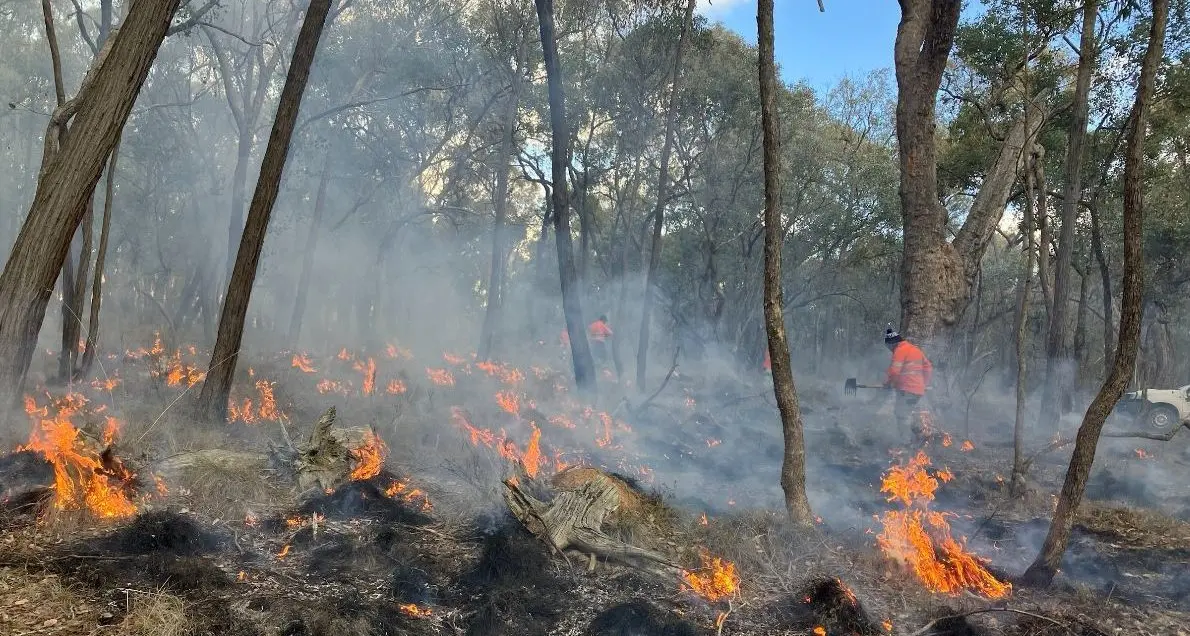 Cultural burns ignite ongoing co-operation between Traditional Owners and Landcare