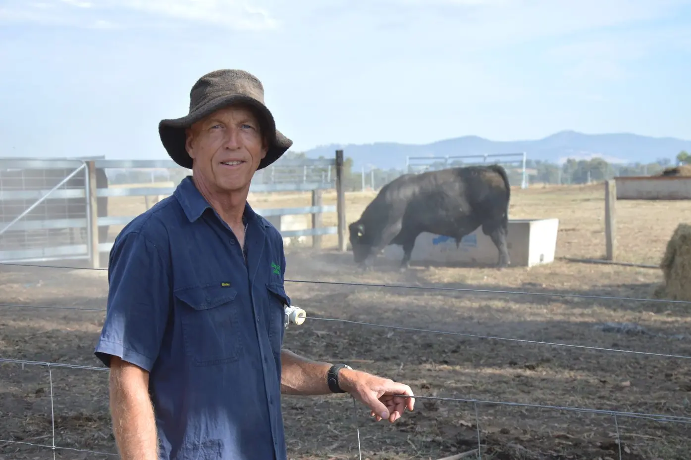 WELL BRED: Jade Park Angus stud principal Andrew McLean said docility is becoming an important trait to value, so handling cattle doesn\\u2019t have to be a scary experience. PHOTO: Anita McPherson