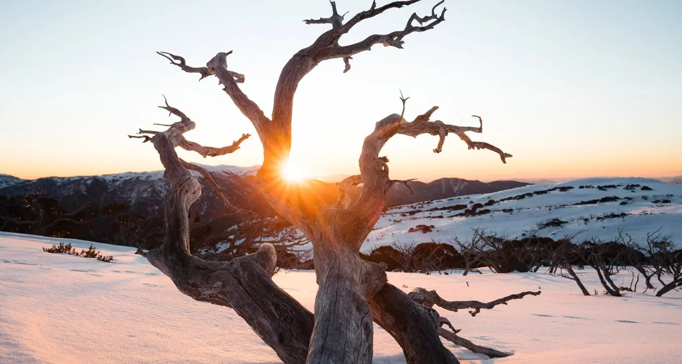 Falls Creek cuts price on resort entry permits