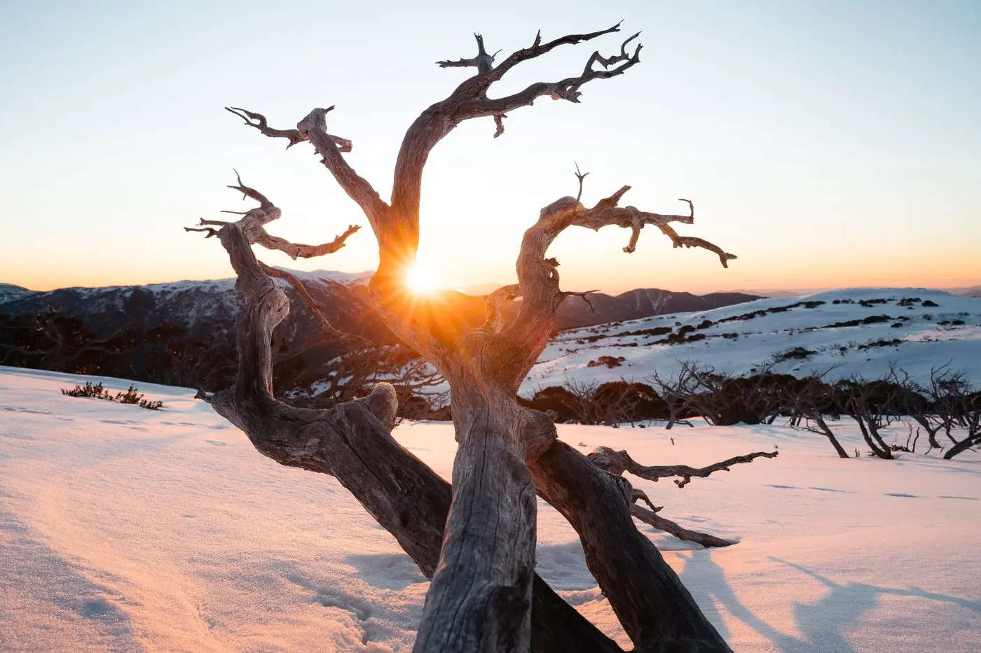 SUNNY SPRING: Falls Creek has some great discounted deals on offer this spring, including reduced resort entry fees. PHOTO: Aidan Haynes