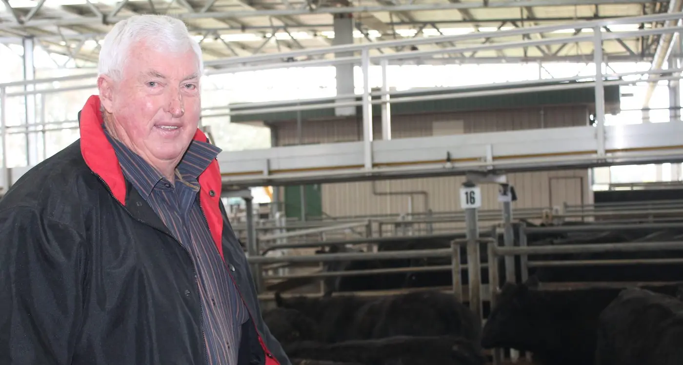 Beef prices on the up