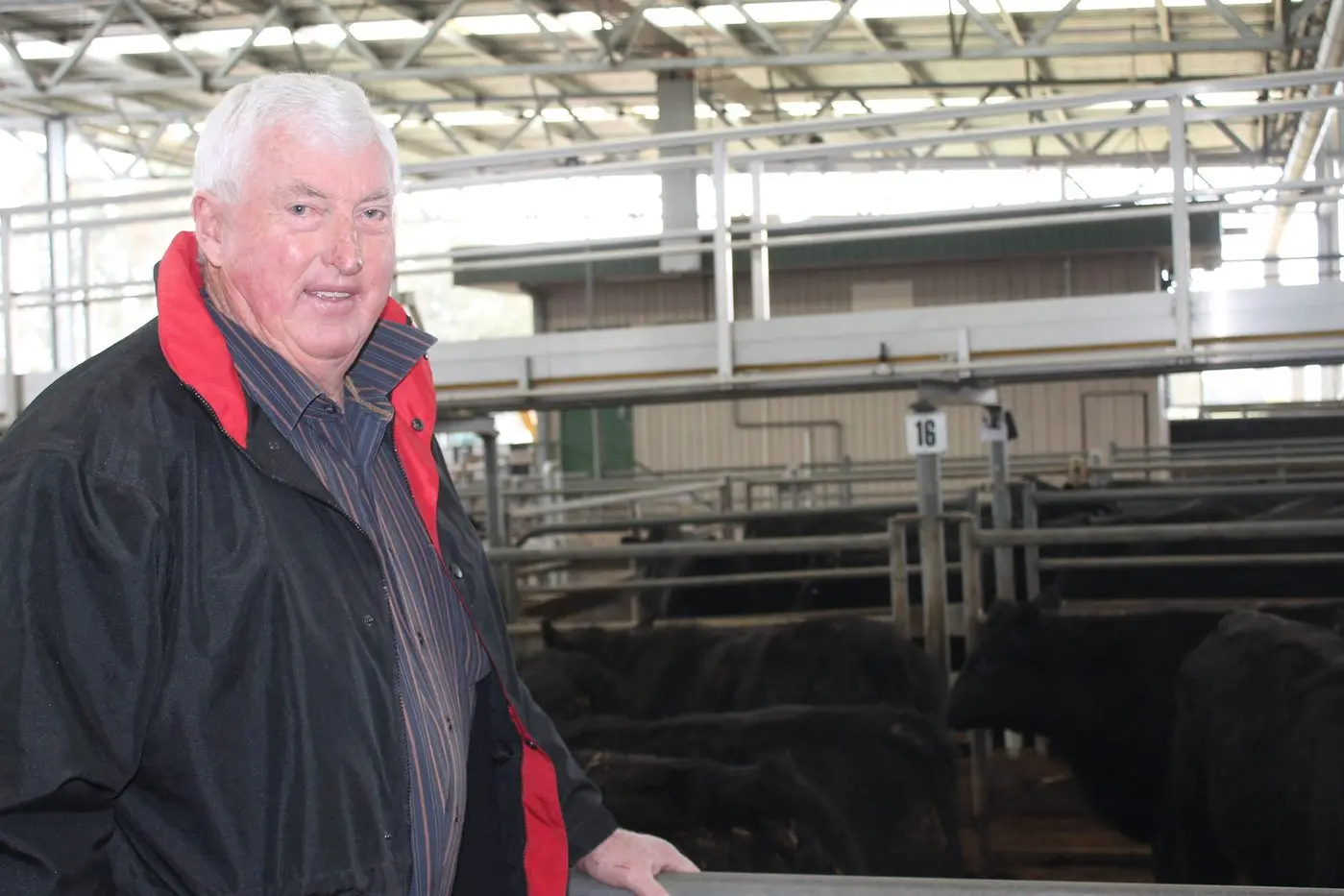 OVERJOYED: Hansonville beef farmer Mike Willoughby expects the market to continue to firm over the coming weeks. PHOTOS: Ryan Malcolm Id:25871