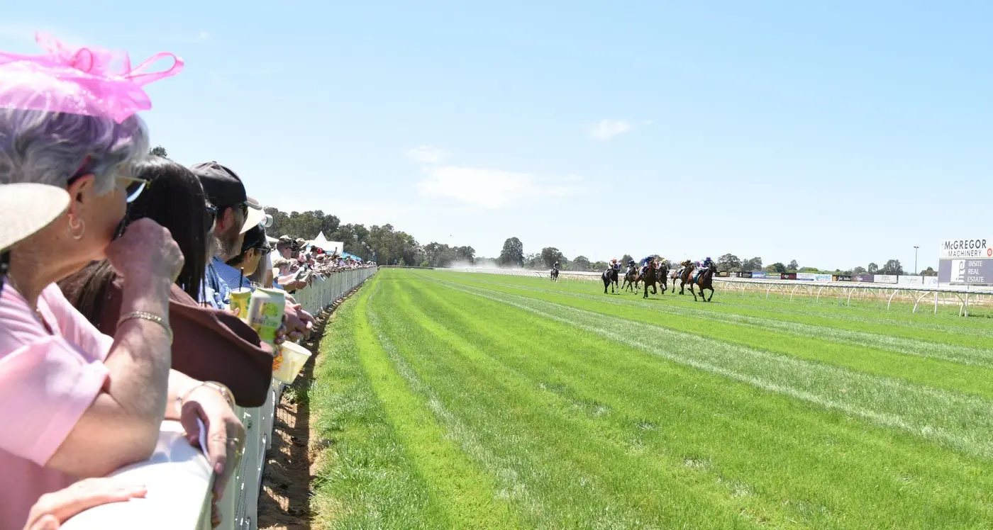 Local horses salute at first local Cup Day races since 2019
