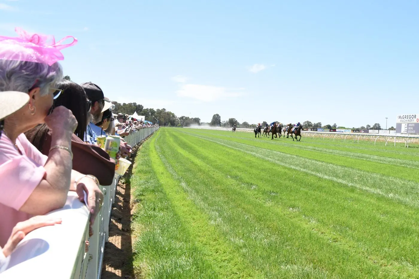 RACE TO THE LINE: Racegoers cheer on their horse at the Wangaratta Turf Club\\'s Ovens Ford Melbourne Cup Day Races yesterday. PHOTO: Kurt Hickling