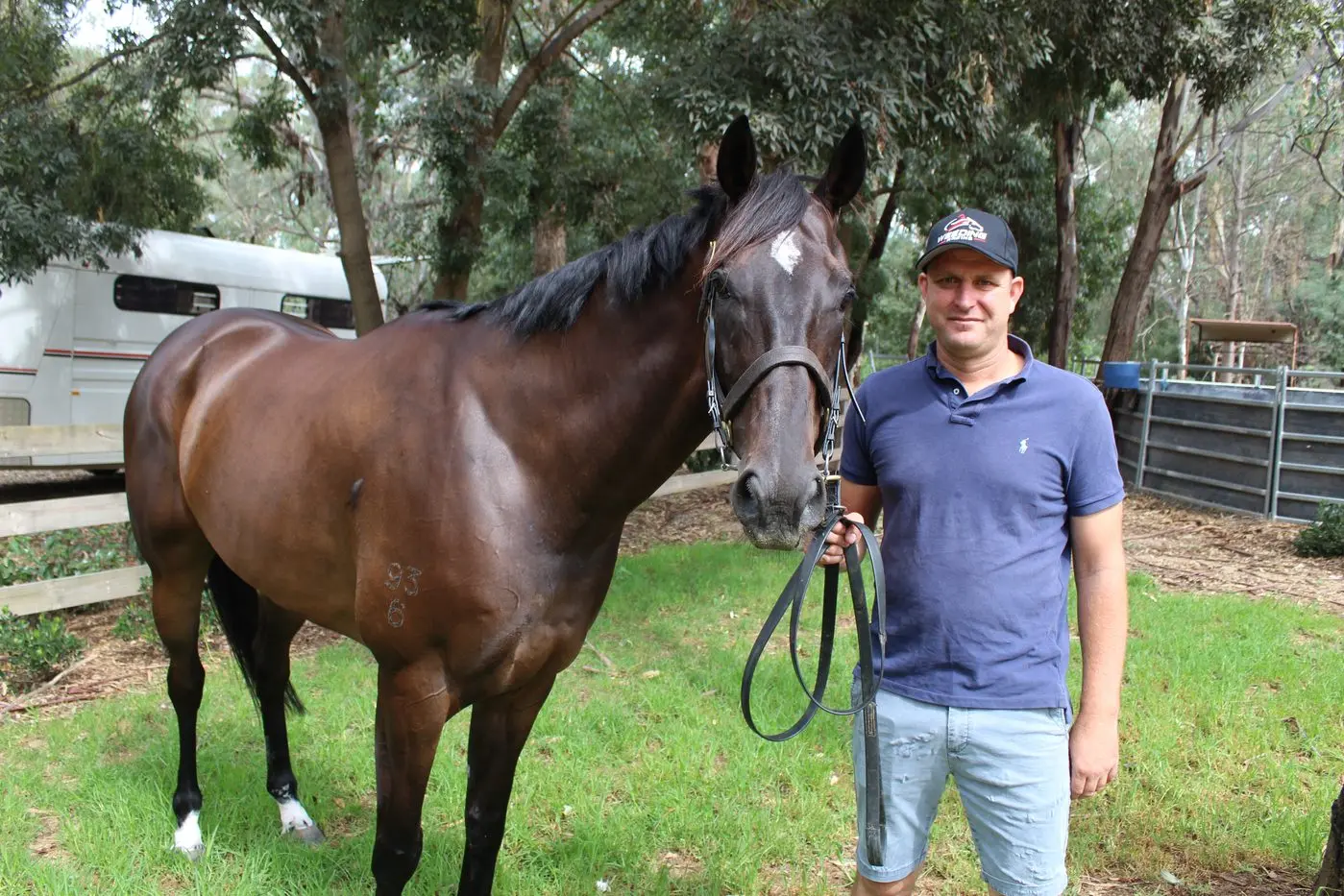 STABLE STAR: Craig Weeding and Prince Of Helena will tackle today\\'s Wodonga Gold Cup.