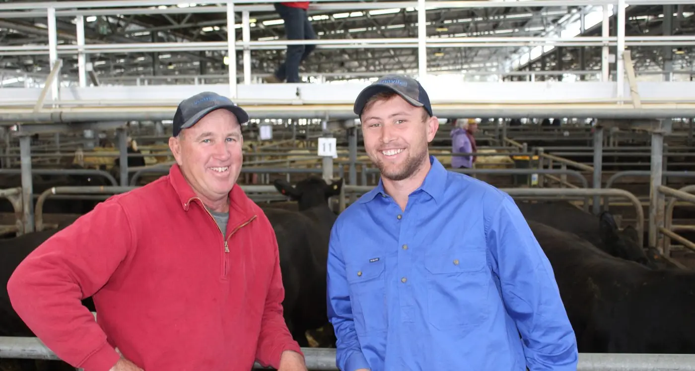 Happy days rain down at buoyant monthly cattle sale