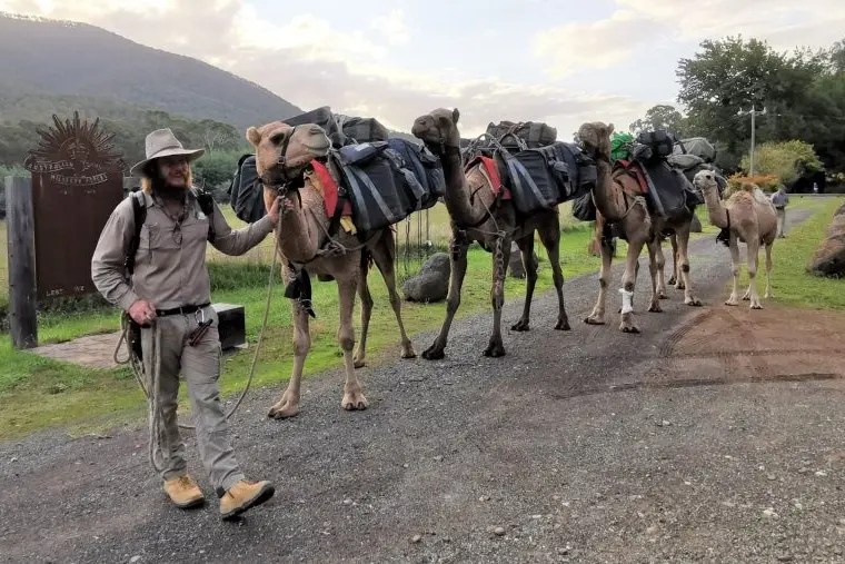 UNUSUAL CARAVAN: Mr Elliot and his travelling companions were lucky to escape unharmed after the fall on Sunday.\\nPHOTO: Freddie Leong