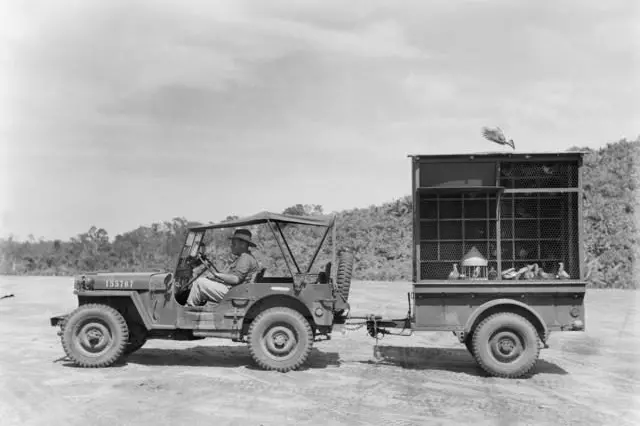 PROUD TRADITION: A mobile loft used to train young Australian carrier pigeons.