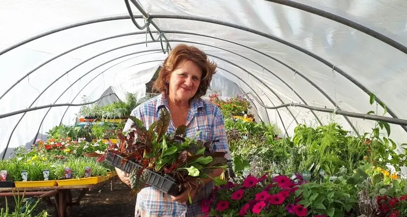 Grower saved by a demand for veg