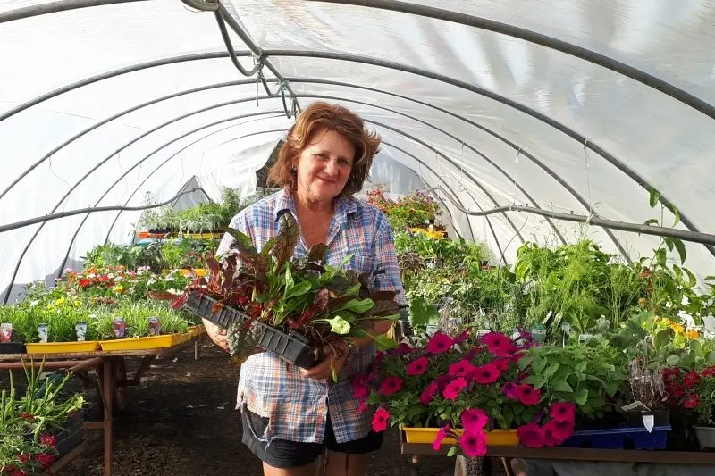 HOPE GROWS: Meadow Creek resident Chris Van Ingen is relieved to have found a way to move her stock following the closure of local markets. PHOTO: Anita McPherson