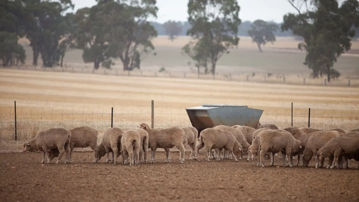 Dry seasonal conditions workshop Tuesday