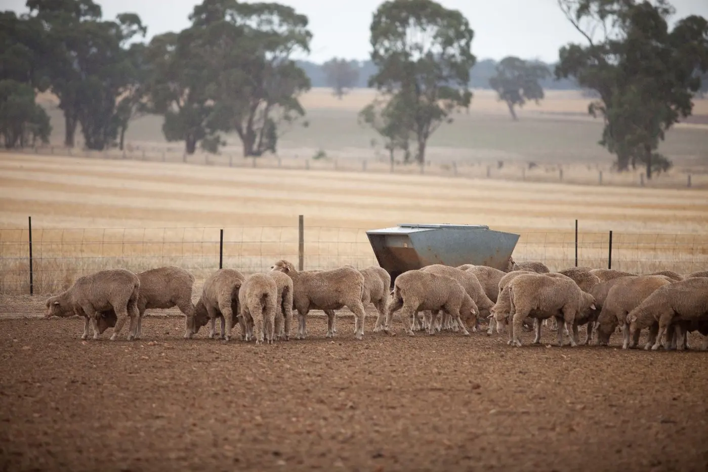 ADVICE IN DRY TIMES: The Ovens Landcare Network has partnered with Agriculture Victoria to run a dry seasonal conditions workshop in Oxley on Tuesday, 10 June. \\n