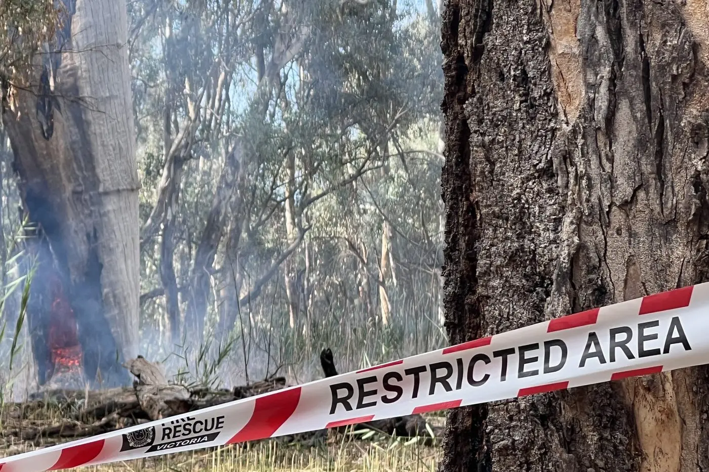 DANGER: A section of the Bullawah Cultural Trail remains closed to the public while fire continues to burn in a large, dead gum tree. PHOTO: Jeff Zeuschner
