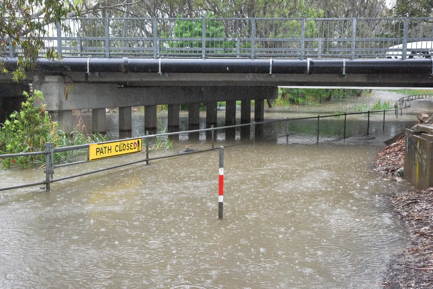 RISING UP: One Mile Creek rose quickly overnight on the back of torrential rains throughout the King Valley and nearby catchments. PHOTO: Kurt Hickling