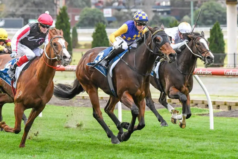 Ashlor ridden by Tahlia Hope wins the Sweeney Real Estate Agents Handicap at Moonee Valley Racecourse on June 13, 2020 in Moonee Ponds, Australia. (Reg Ryan/Racing Photos)
