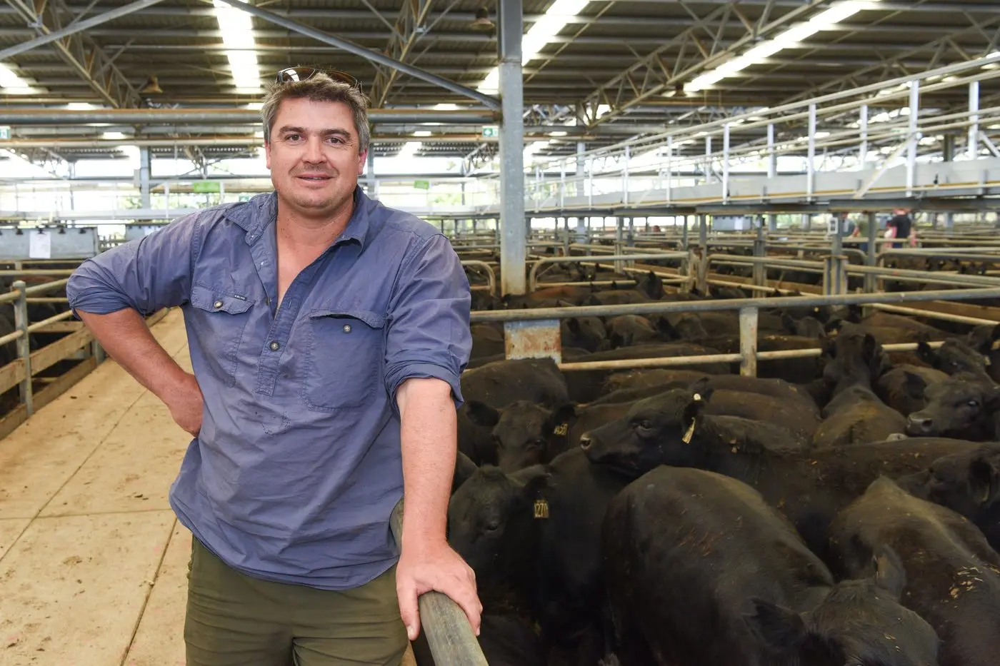 POSITIVE START: Mansfield cattle producer Rodda Manning believes the market is bouncing back in a strong way. PHOTOS: Kurt Hickling. 