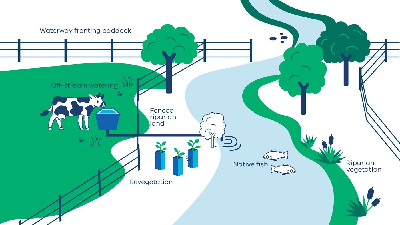 Top EPA tips to protect farm waterways