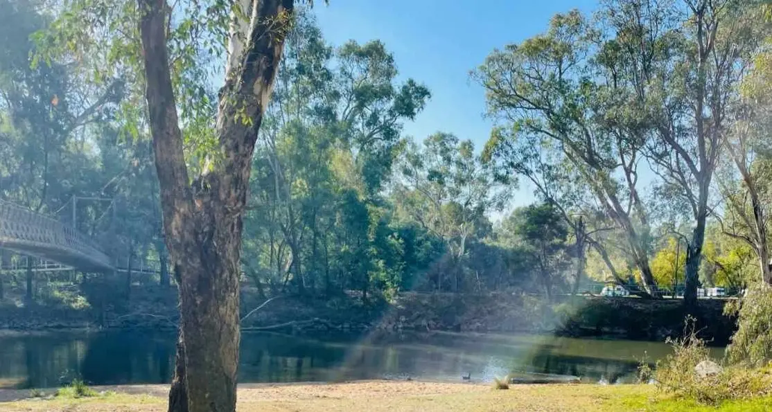 Sorry Day workshop next Monday