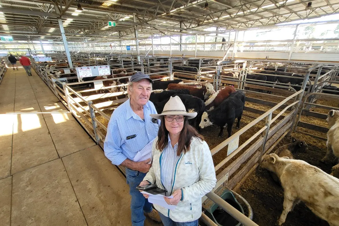 TOUGH TIMES: Benambra farmers Clive and Dianne Anderson sold cattle at the Wangaratta Livestock Exchange for their first time. PHOTO: Steve Kelly