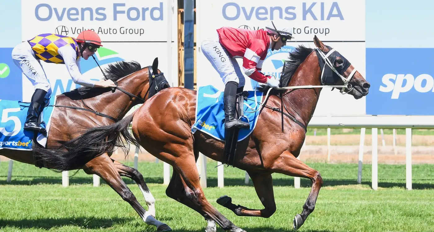 Local trainers target home meeting