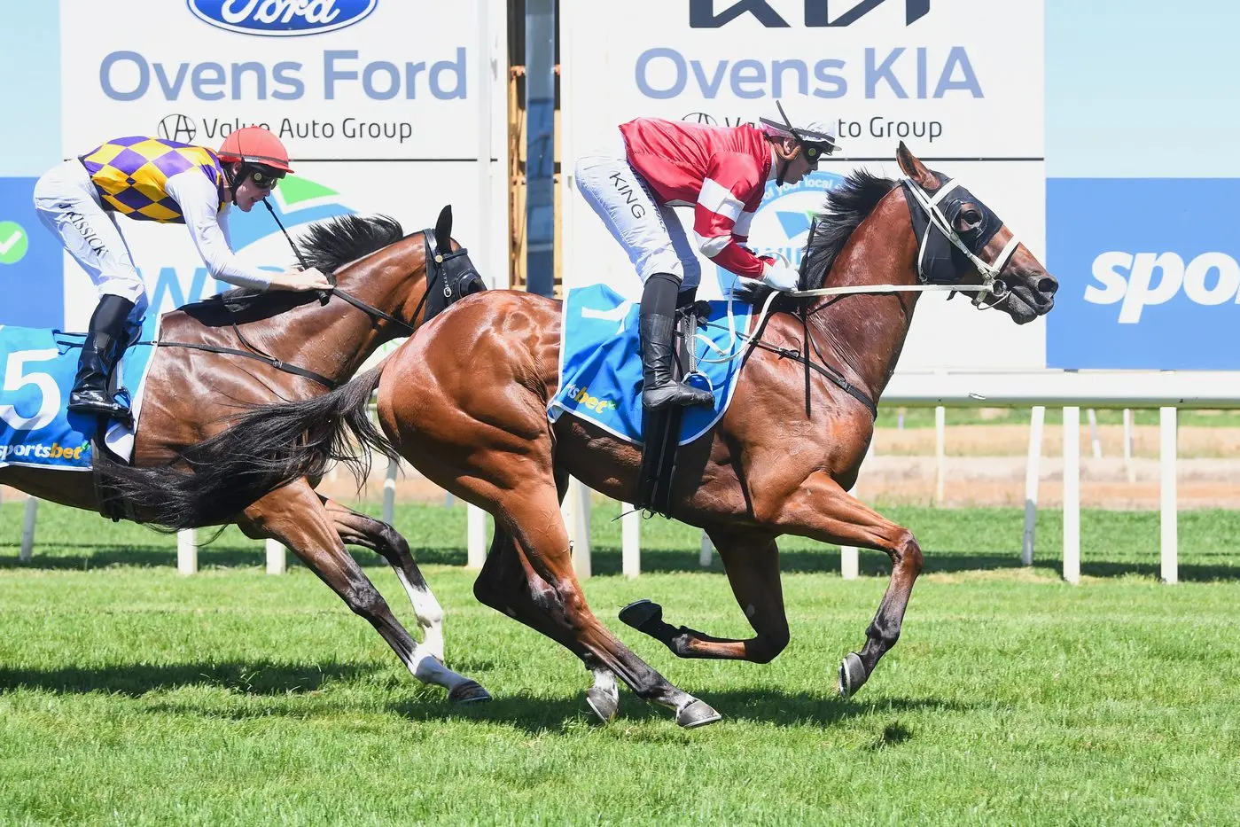 CHANCE: Andrew Dale\\'s Hells Son looks one of the main chances in race four. PHOTO: Racing Photos