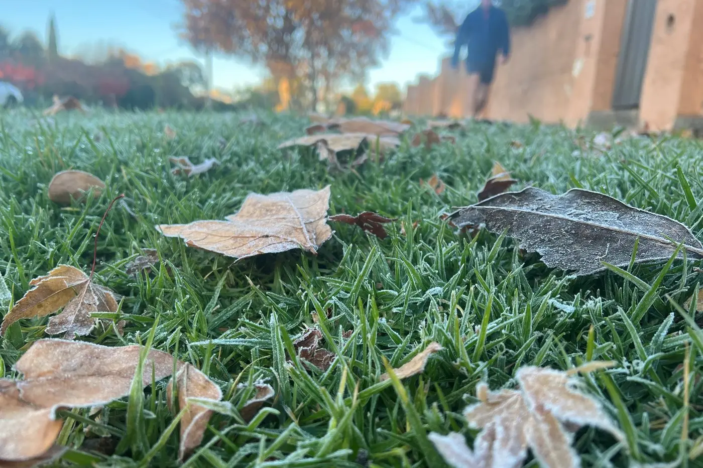 COLD MAY: Wangaratta shivered through its coldest May in 40 years. PHOTO: Jeff Zeuschner Id:42184