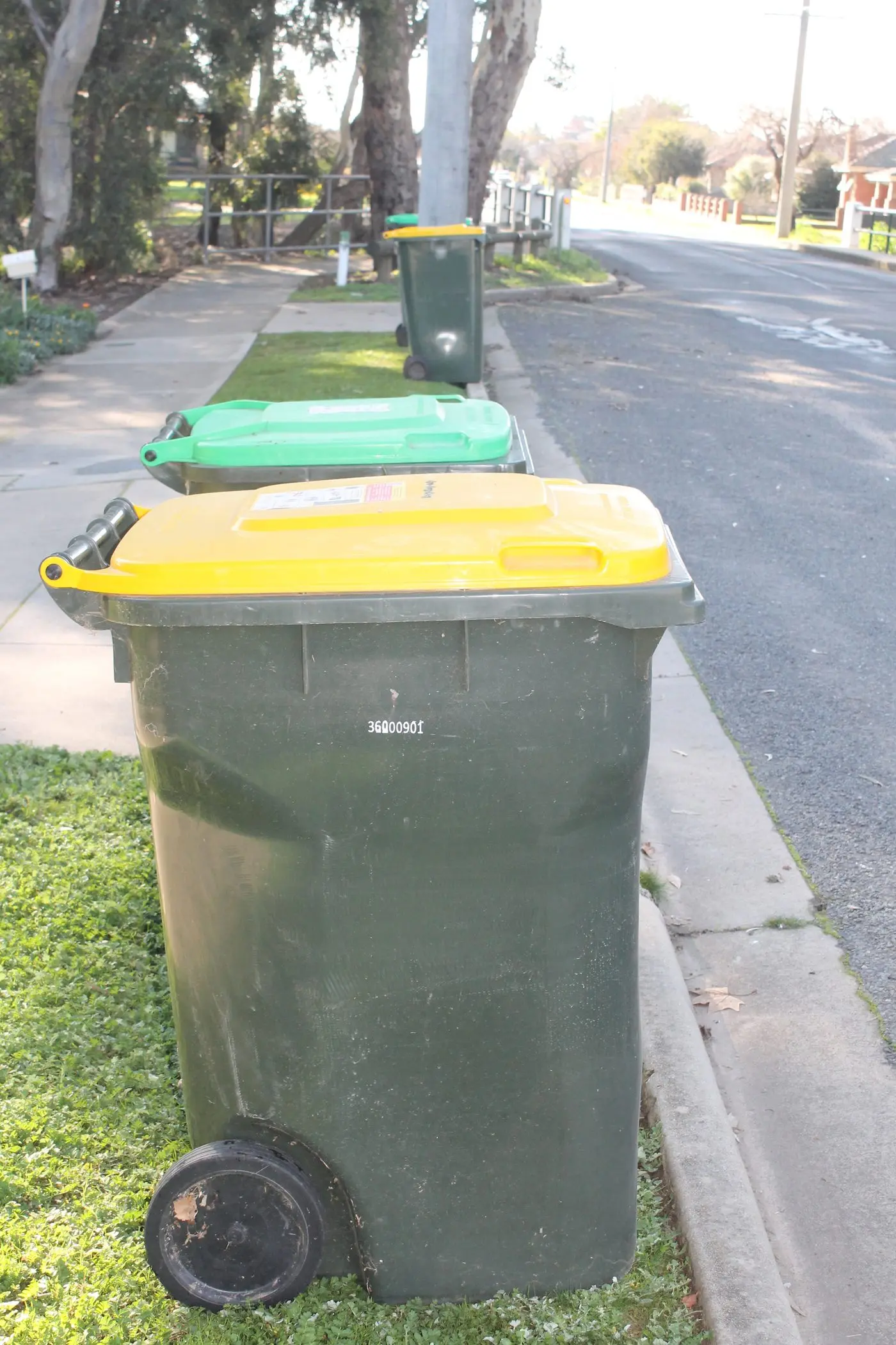 NO TRASH TALK: If you get caught contaminating your organics or recycling bin four times in four years, you could lose it for another four years under a new draft policy. Id:22597