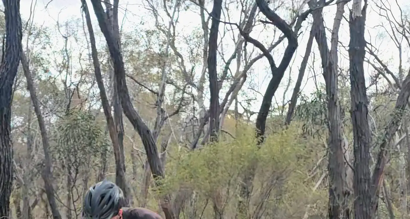 Springhurst teenager wins state mountain bike championship