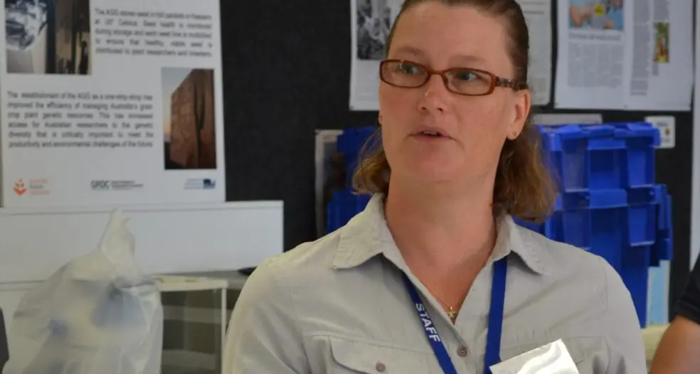 Online seed catalogue users to reap genebank benefits