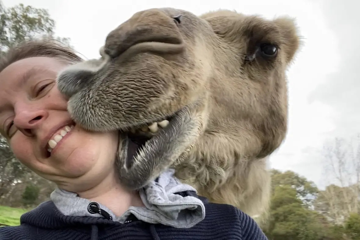 \\nFRIENDLY: Belinda Harrison had a wonderfully close encounter with Toby in 2020 and will miss seeing the gentle giant in the paddock.