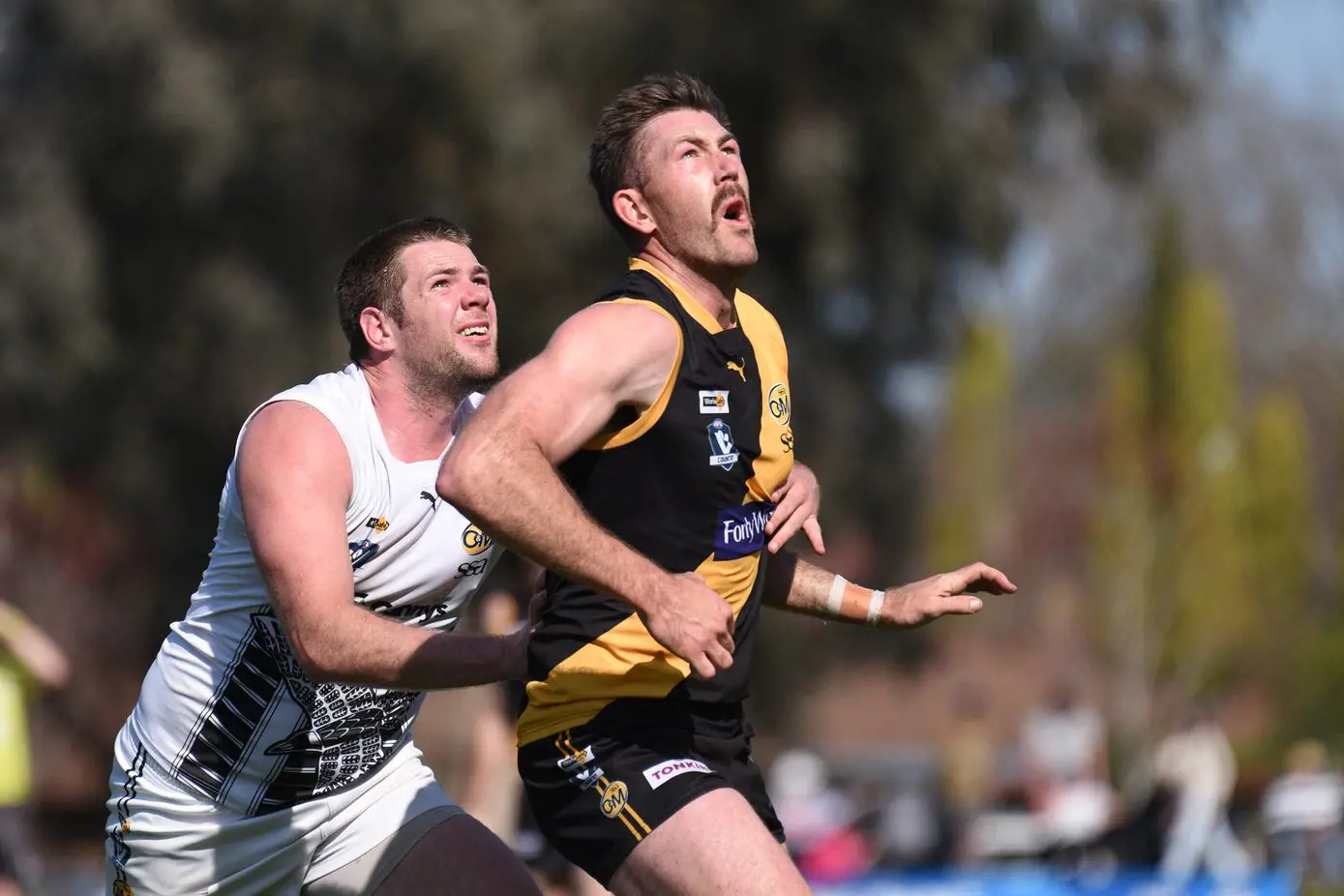 PRELIM FINAL: Wangaratta\\'s Chris Knowles and Albury\\'s Isaac Muller will go head-to-head in the ruck once again this weekend. PHOTO: Kurt Hickling